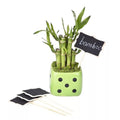 Rectangle Mini Chalkboard Place Card Holders